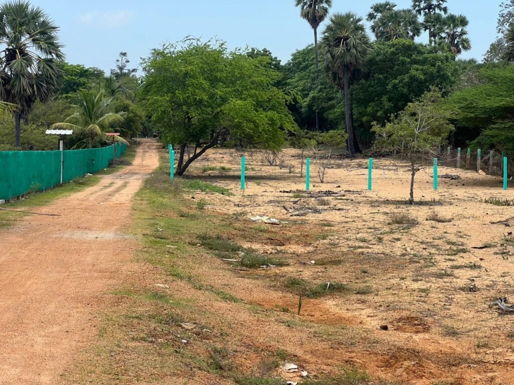 தோட்டம் நிலம் விற்பனைக்கு,மாயாகுளம்