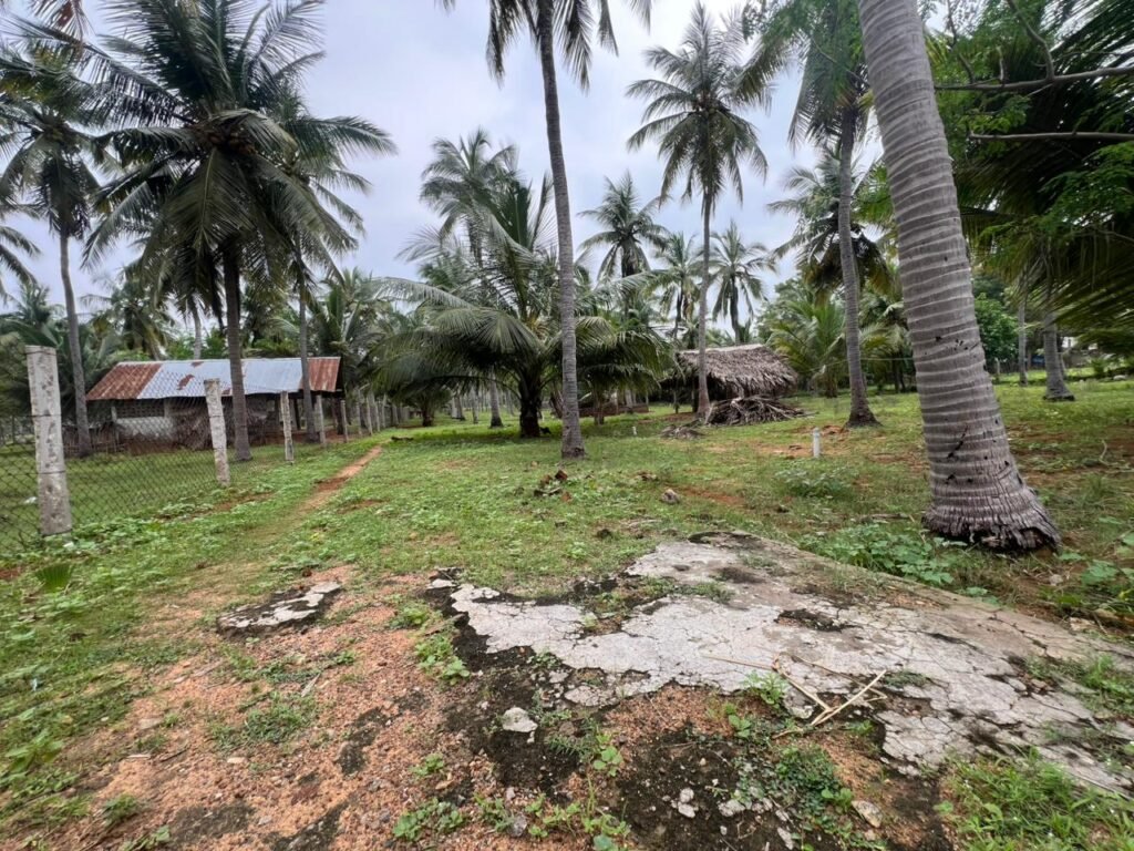 தோட்டம் விற்பனைக்கு ,பிச்சாவலசை, தினைக்குளம்