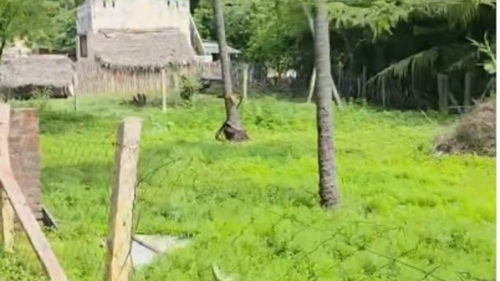 வீட்டுமனை நிலம் விற்பனைக்கு,விவேகானந்தபுரம் , செய்யதப்பா தர்ஹா Backside