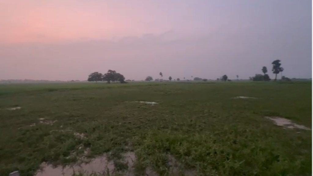 வீட்டுமனை மற்றும் விவசாயம் நிலம் விற்பனைக்கு , எக்கக்குடி , கொத்தன்குளம்