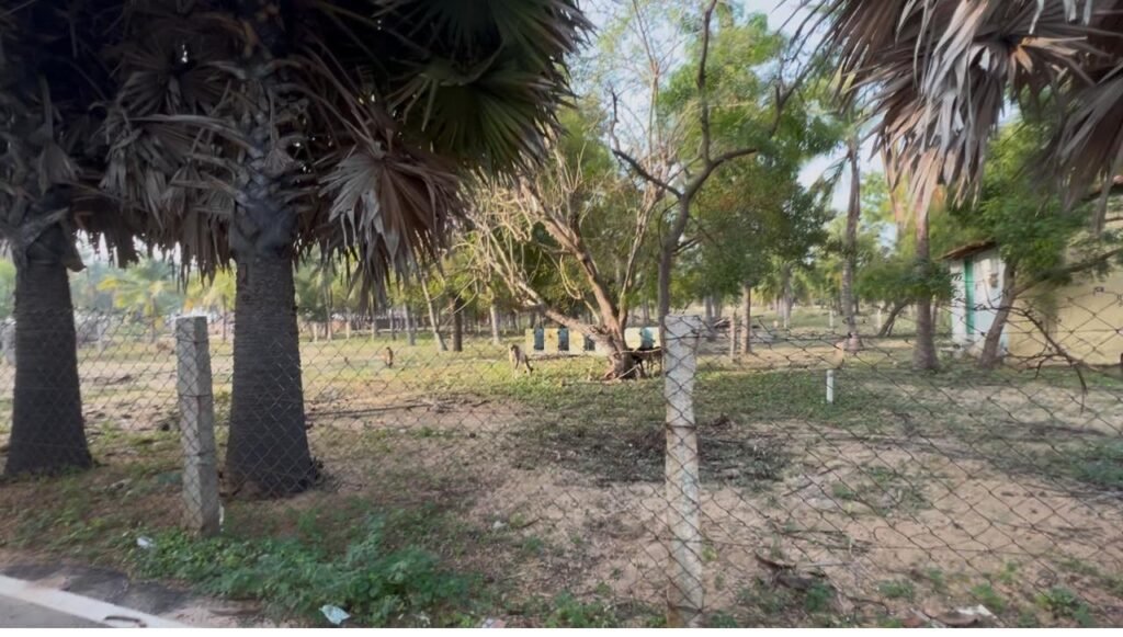 தோட்டம் நிலம் விற்பனைக்கு,மாயாகுளம்,பாரதிநகர்