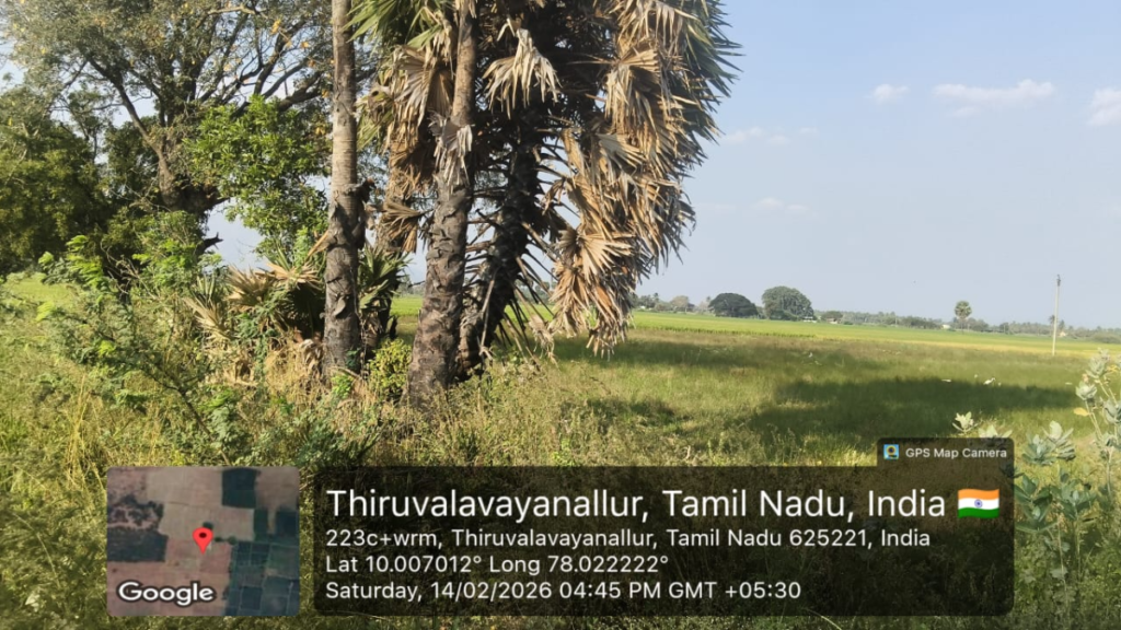 வீட்டுமனை மற்றும் விவசாயம் நிலம் விற்பனைக்கு ,திருவாலவாயநல்லூர், மதுரை